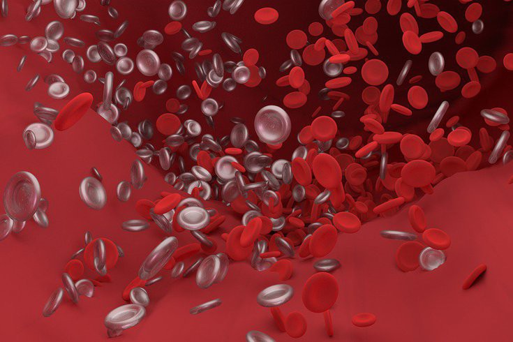 اضغط على الصورة لعرض أكبر

الاسم: blood_type_and_COVID-19_risk.2e16d0ba.fill-735x490.jpg
الحجم: 80.6 كيلوبايت
رقم التعريف: 226086