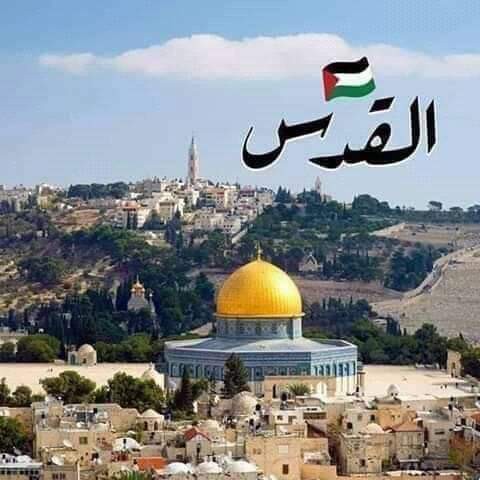 اضغط على الصورة لعرض أكبر  الاسم: FB_IMG_1621617680867.jpg الحجم: 50.7 كيلوبايت رقم التعريف: 226565