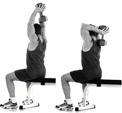 اضغط على الصورة لعرض أكبر  الاسم: dumbbelltriceps_ex4.jpg الحجم: 24.7 كيلوبايت رقم التعريف: 228375