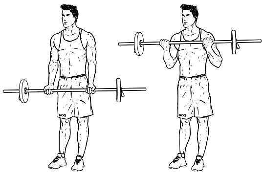 اضغط على الصورة لعرض أكبر  الاسم: Barbell_Curle.png الحجم: 24.3 كيلوبايت رقم التعريف: 228381