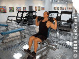 اضغط على الصورة لعرض أكبر  الاسم: DBShoulderPress.gif الحجم: 88.4 كيلوبايت رقم التعريف: 228384