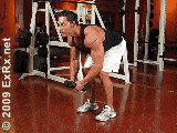 اضغط على الصورة لعرض أكبر  الاسم: DBRearLateralRaise.gif الحجم: 67.7 كيلوبايت رقم التعريف: 228386