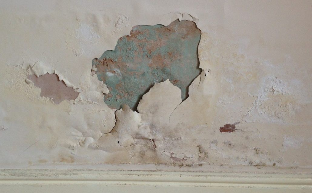اضغط على الصورة لعرض أكبر

الاسم: رطوبة-الجدران-1030x636.jpg
الحجم: 113.7 كيلوبايت
رقم التعريف: 228802