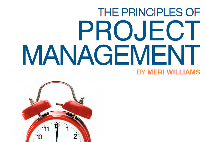 The Principles of Project Management