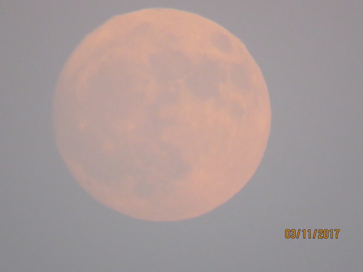 Moon shots