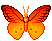 اضغط على الصورة لعرض أكبر.   الإسم:	butterfly64.gif  مشاهدات:	0  الحجم:	1.5 كيلوبايت  الهوية:	223170