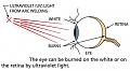 اضغط على الصورة لعرض أكبر

الاسم: eye-can-be-burned-by-ultraviolet-light.jpg?resize=550%2C302&amp;amp;ssl=1.jpg
الحجم: 29.8 كيلوبايت
رقم التعريف: 226678